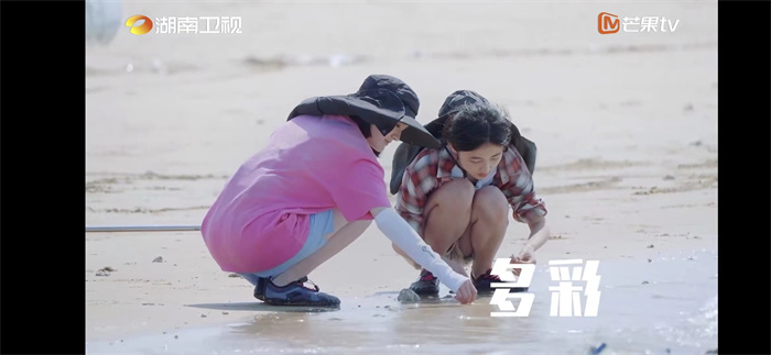 向往暑期1.jpg